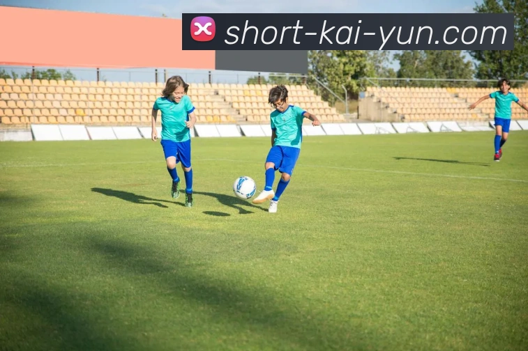 kaiyun全站App